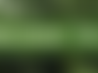 Sunday Worship - Sunday 1st November