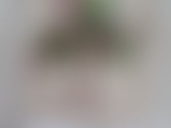 Lockdown Keepsake final update!