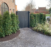 WhatsApp Image 2025-01-18 at 20.14.57.jpeg