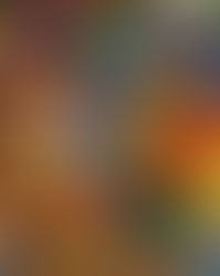 衣替えの季節、靴にカビが生えないようにする保管法