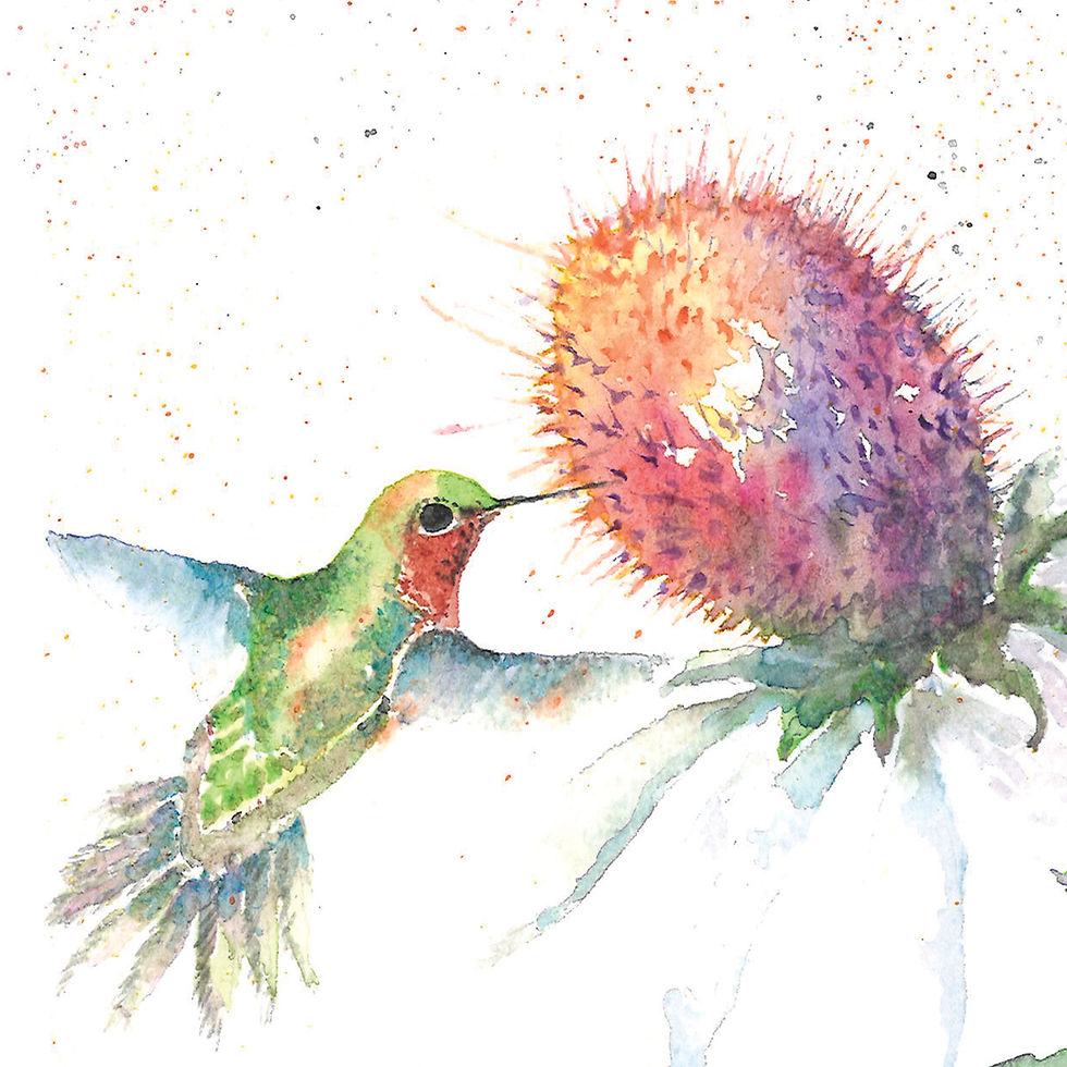 Thumbnail: Hummingbird Card Set