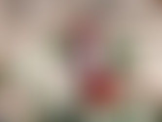 Bishop Marianne Budde's Sermon on Unity