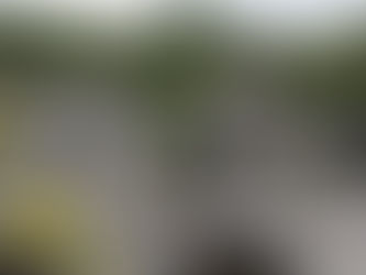 Living the Resurrected Life Today, Together