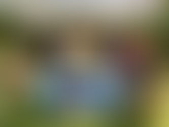 The Good Fruit of Following Jesus