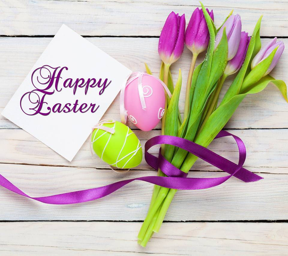 Picture of purple tulips with a card saying Happy Easter