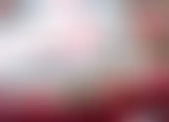 Romantic Things To Do Near Reed Creek Greenway Apartments This Valentine’s Season