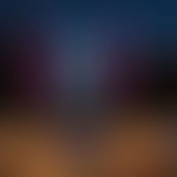 Living in Asheville NC: A Magical Winter Tradition at the NC Arboretum