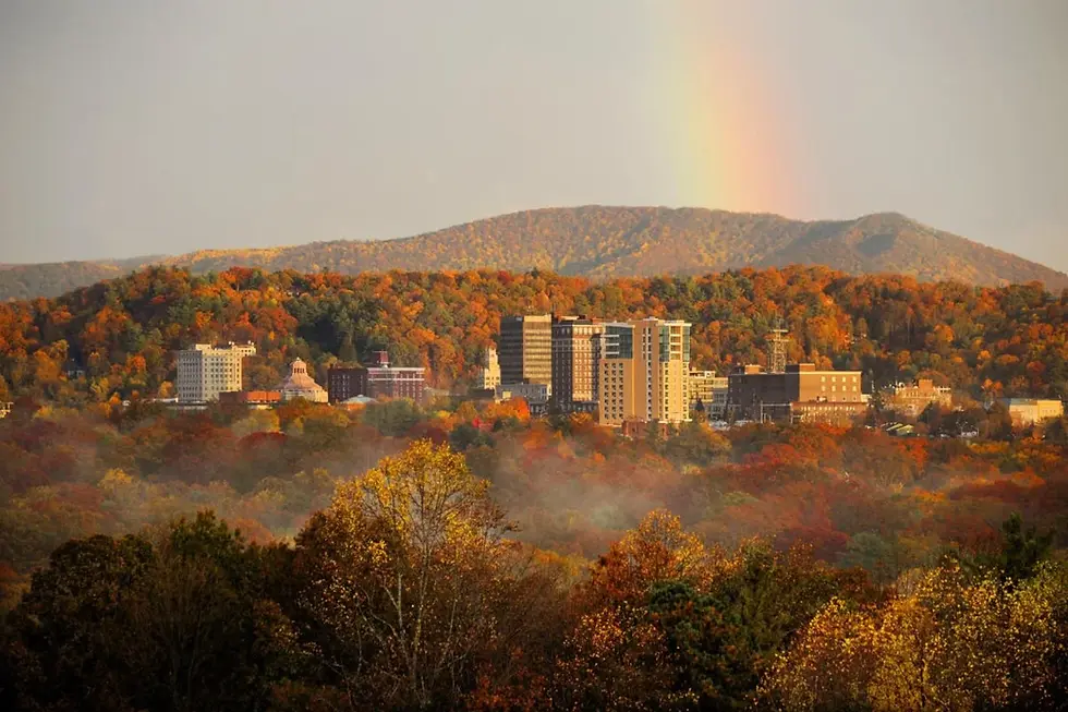 The Leaf Looker's Guide to Autumn in Asheville, NC (2026)