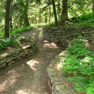 Living Near Reed Creek Greenway: Where Nature and Asheville Life Connect