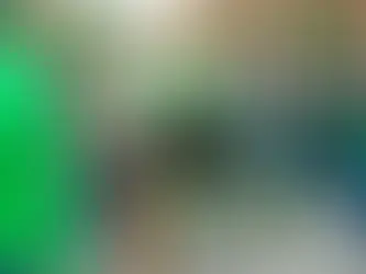 St. Patrick’s Day 2026 in Asheville: Where to Celebrate Near Reed Creek Greenway