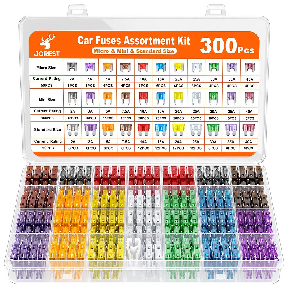 300Pcs Car Fuse Assortment Kit