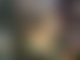 Chuvas históricas deixam 14 mortos e centenas de desabrigados em Juiz de Fora