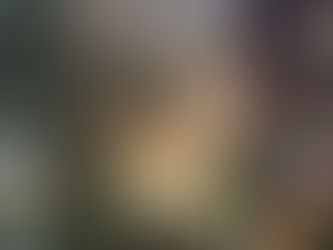 Chuvas históricas deixam 14 mortos e centenas de desabrigados em Juiz de Fora