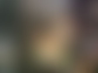 Chuvas históricas deixam 14 mortos e centenas de desabrigados em Juiz de Fora