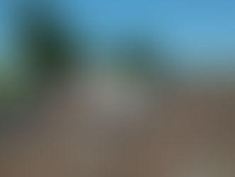 Colisão entre caminhão e Kombi deixa três mortos e um ferido na BR-262, em Campo Florido