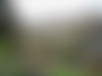 TCE-MG inicia auditorias em prefeituras e órgãos públicos sorteados