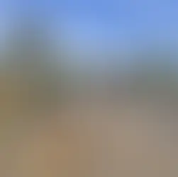 Idoso e tenente da PM morrem em grave acidente na BR-364  em Frutal