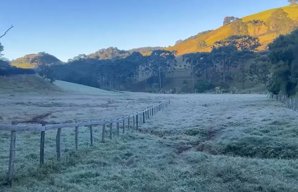 Maria da Fé Registra Marcas Abaixo de Zero e Geada Modifica Paisagem no Sul de Minas