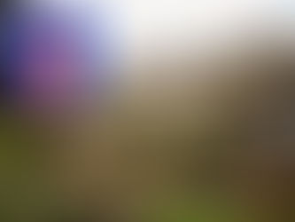 Prefeitos e vereadores de todo o Brasil podem ter seus mandatos estendidos até o final de 2018