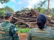 Governo de Minas fiscaliza alvos suspeitos de desmatamento ilegal no Triângulo Mineiro