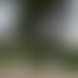 Jovem desaparecida em Campos Altos é localizada em hospital de Ibiá