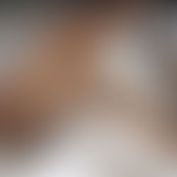 Onça-parda é capturada em fazenda de Uberaba