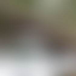 Temporal causa estragos e mobiliza equipes de emergência em Patrocínio