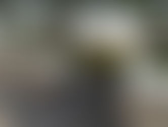 Ibiá registra uma morte e 200 casos de covid-19 em menos de um mês