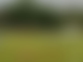 Ibiá Esporte perde em casa na estréia da Copa Amapar