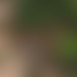 Homem é resgatado com vida 36 horas após sofrer acidente