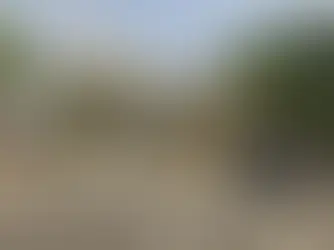 Homem condenado por matar o irmão na frente das sobrinhas é obrigado a indenizar viúva e crianças em MG