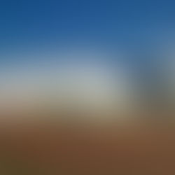 Agro Amazônia anuncia a compra da empresa Nativa Agronegócios