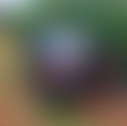 Polícia Militar prende suspeitos de sequestro e roubo a motorista de aplicativo de Ibiá