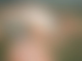 McCain anuncia investimento de R$ 1,8 bilhão para ampliar fábrica em Araxá