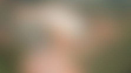 McCain anuncia investimento de R$ 1,8 bilhão para ampliar fábrica em Araxá