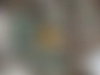 Homem é preso em Ibiá por manter animais silvestres em cativeiro sem autorização