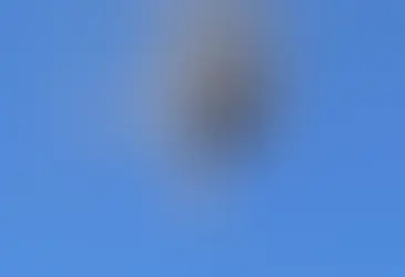 Vídeo: Balão em chamas cai e deixa oito mortos em Santa Catarina