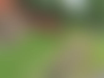 Menino de 10 anos é encontrado morto em represa no Parque da Matinha em Patrocínio