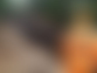 Locomotiva Tomba em Cratera na Zona Rural de Formiga/MG