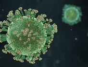 Nenhuma morte por Covid-19 foi registrada em Minas nas últimas 24 horas