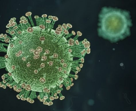 Nenhuma morte por Covid-19 foi registrada em Minas nas últimas 24 horas