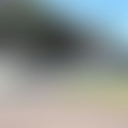 SAAE se manifesta sobre operação da Polícia Civil em suas dependências