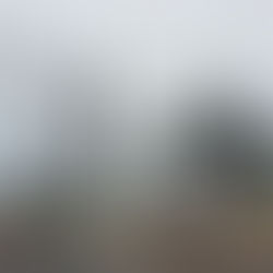 Cemig investe R$ 11,4 milhões para impulsionar desenvolvimento em Ibiá