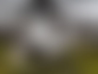 Acidente entre carro e caminhão provoca a morte de quatro pessoas na BR-365 em Patos de Minas