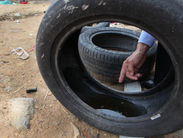 Minas Gerais registra 158 mortes por dengue em 2024