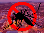 Ibiá registra queda nos casos de dengue