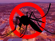 Preocupação em Ibiá: Terceira Morte Suspeita de Dengue é Investigada na cidade