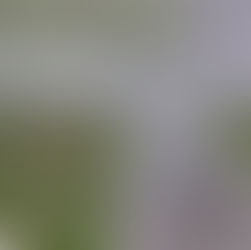 Ibiá é incluída em alerta laranja do Inmet para tempestades e granizo em Minas Gerais