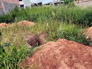 Maldade sem limites: Homem é agredido e quase enterrado vivo em Nova Serrana, MG