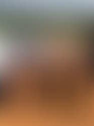 Multinacional DXN será a primeira empresa a se instalar no novo Distrito Industrial de Ibiá